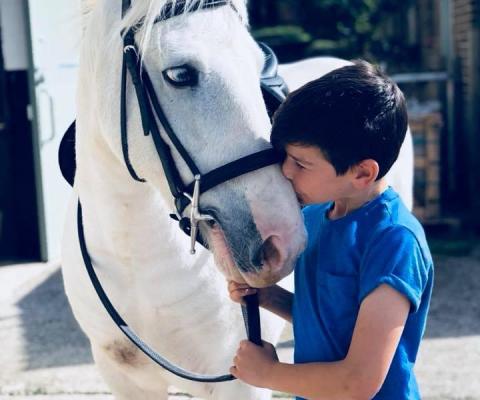 little boy kissing horse on nose