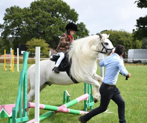 white cob being led performing jump